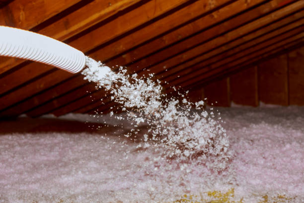 Insulation Inspection Services in North Zanesville, OH