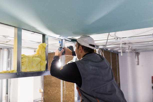 Best Insulation Removal  in North Zanesville, OH