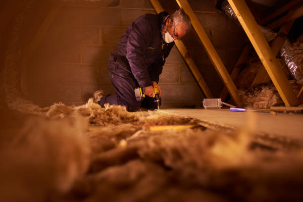 Best Energy-efficient Insulation  in North Zanesville, OH